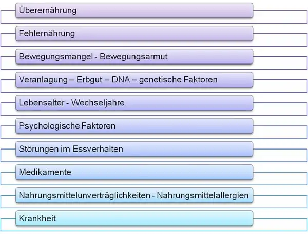 Die verschieden Faktoren von Übergewicht - owi Praxis für Integrative Hypnosetherapie und Veränderungscoaching